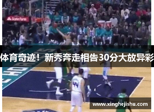 体育奇迹！新秀奔走相告30分大放异彩